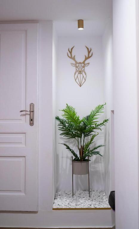 Coban Residence Apartments Brasov Luaran gambar