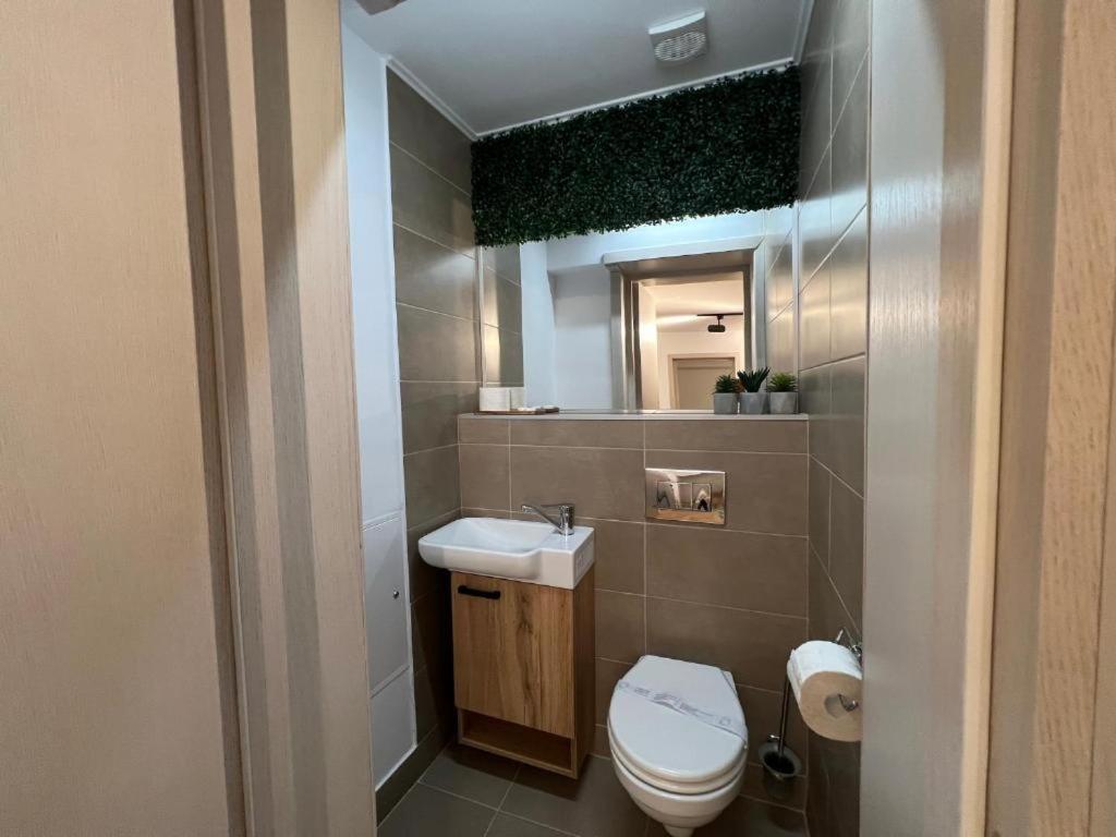 Coban Residence Apartments Brasov Luaran gambar